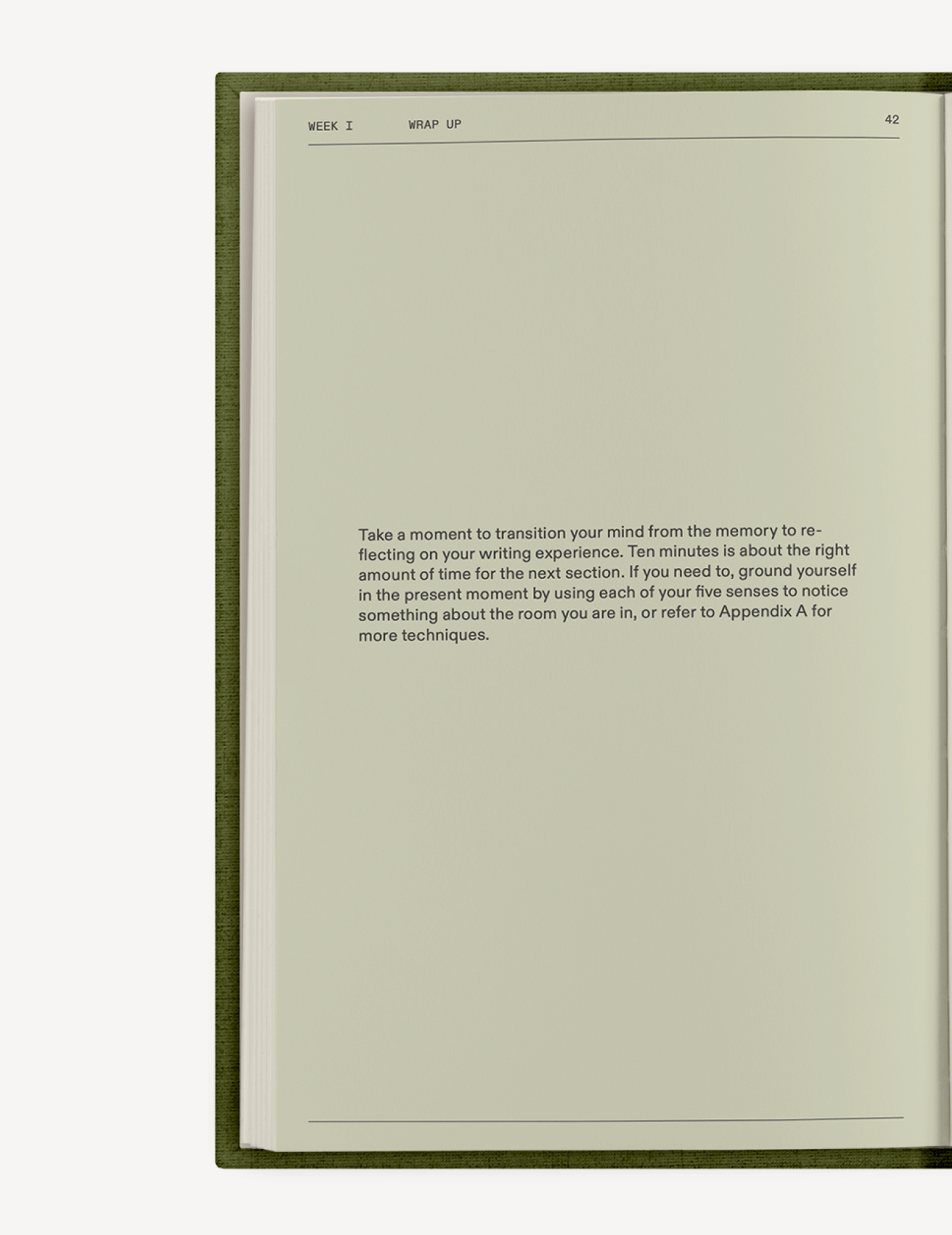 The After-Trauma Notebook by Therapy Notebooks