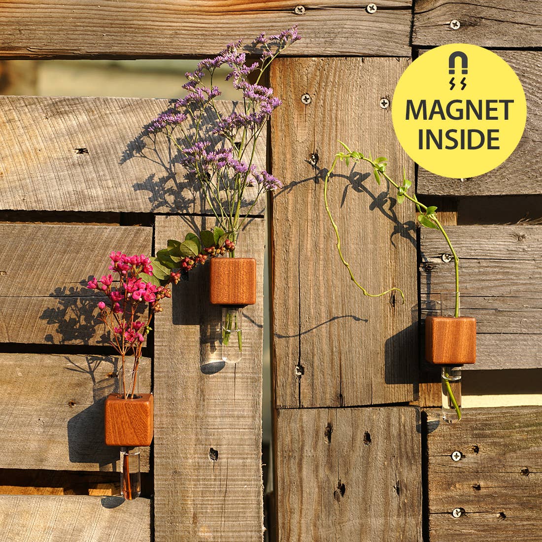 VICE Single Magnetic Cube Propagation Vase by Bumble Plants