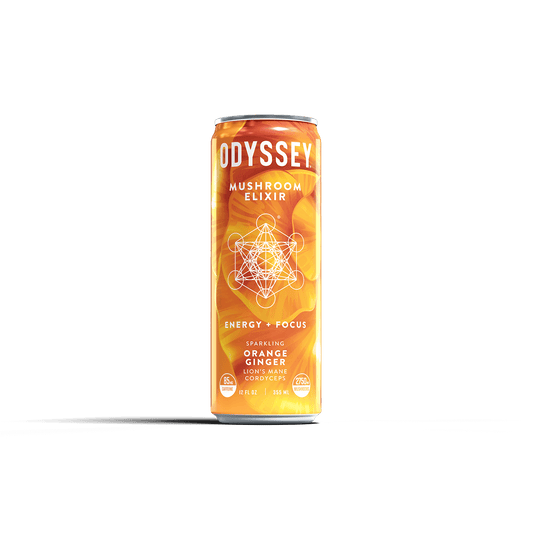 Orange Ginger Sparkling Mushroom Energy Drink 12 Pack by OdysseyElixir