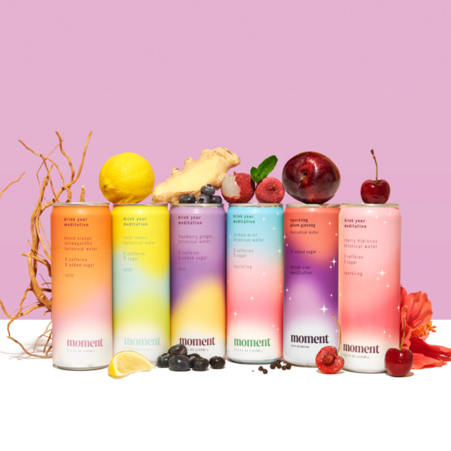 Moment Mixed Variety 18 Pack -Drink Your Meditation