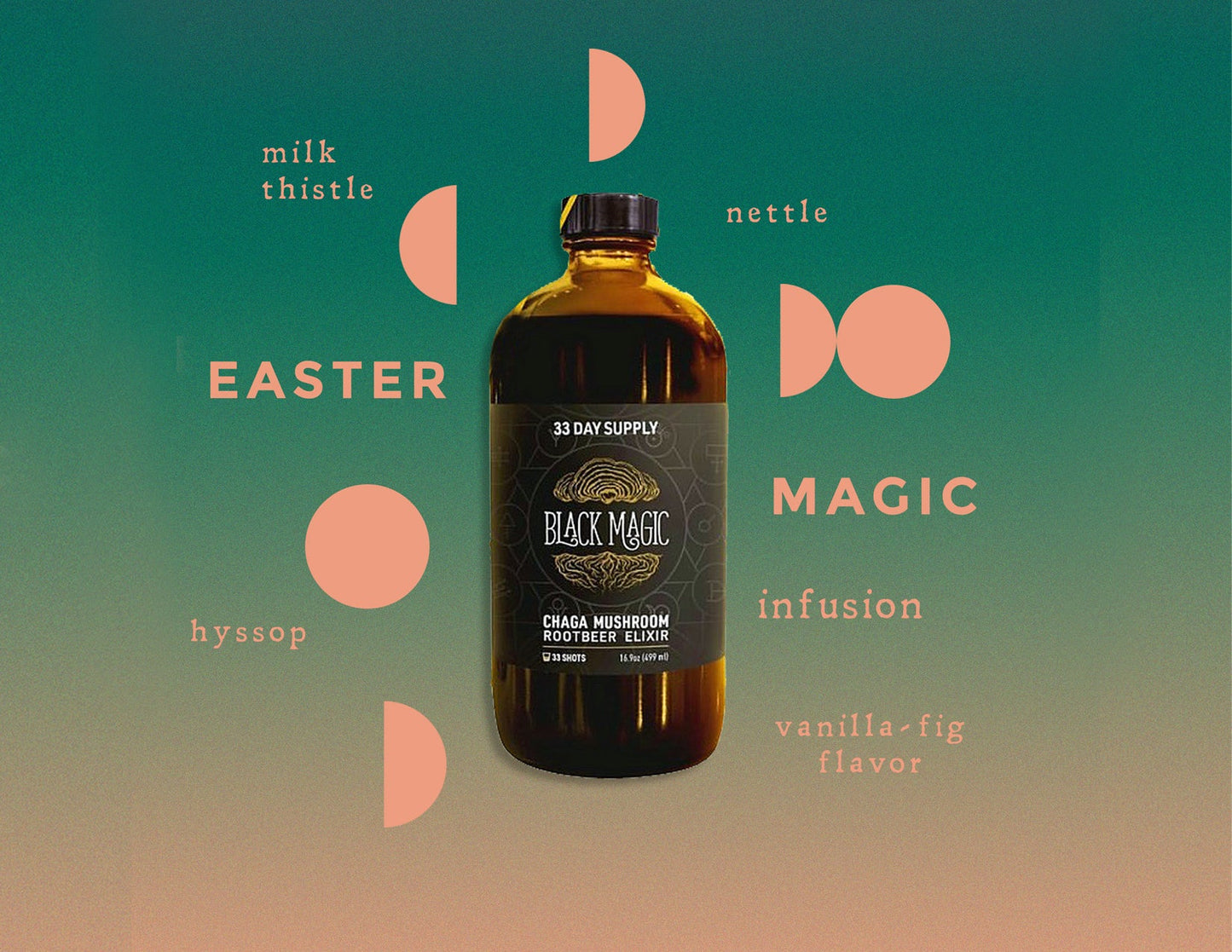 Wild Harvested Chaga Mushroom Rootbeer Elixir