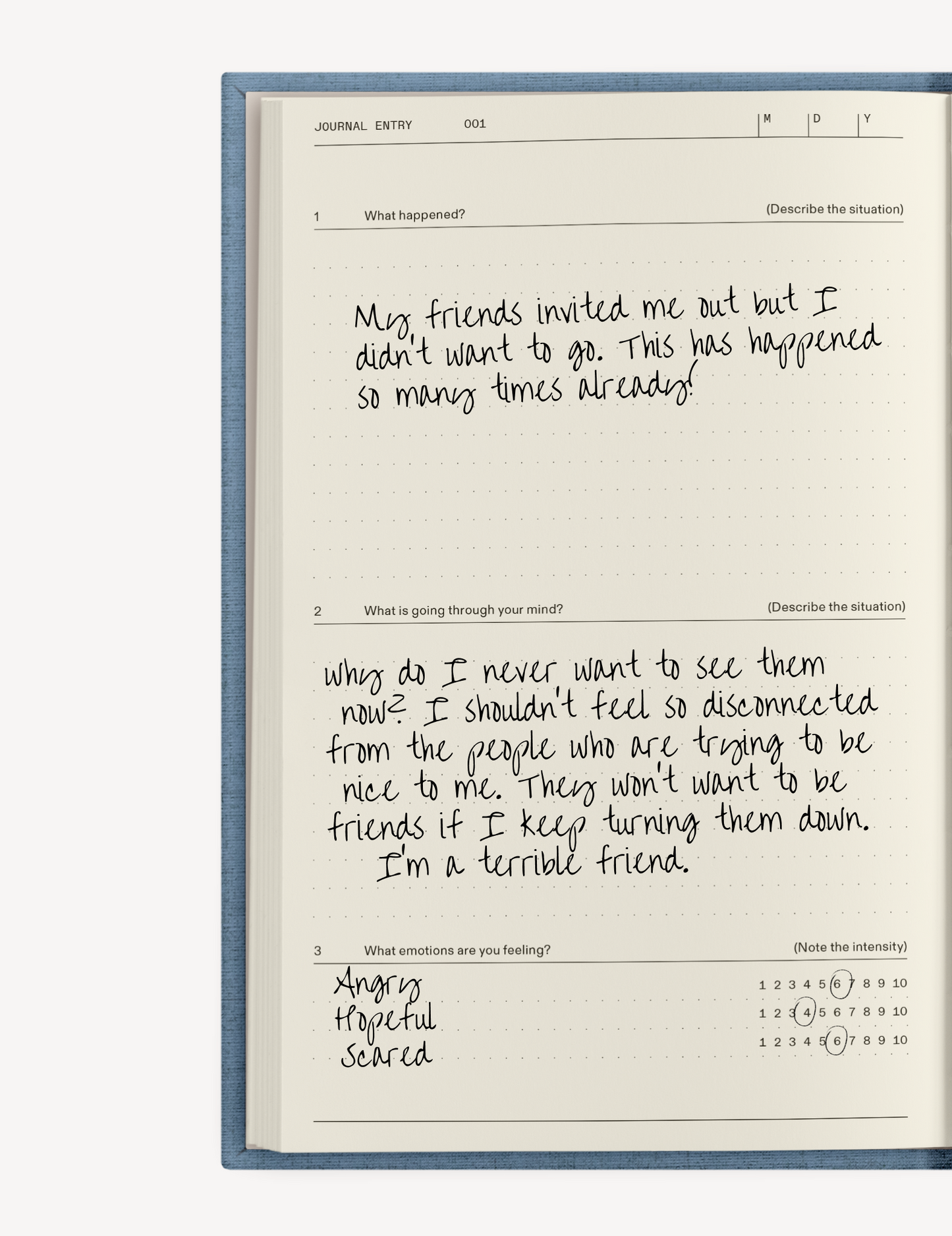 The Anti-Anxiety Notebook by Therapy Notebooks