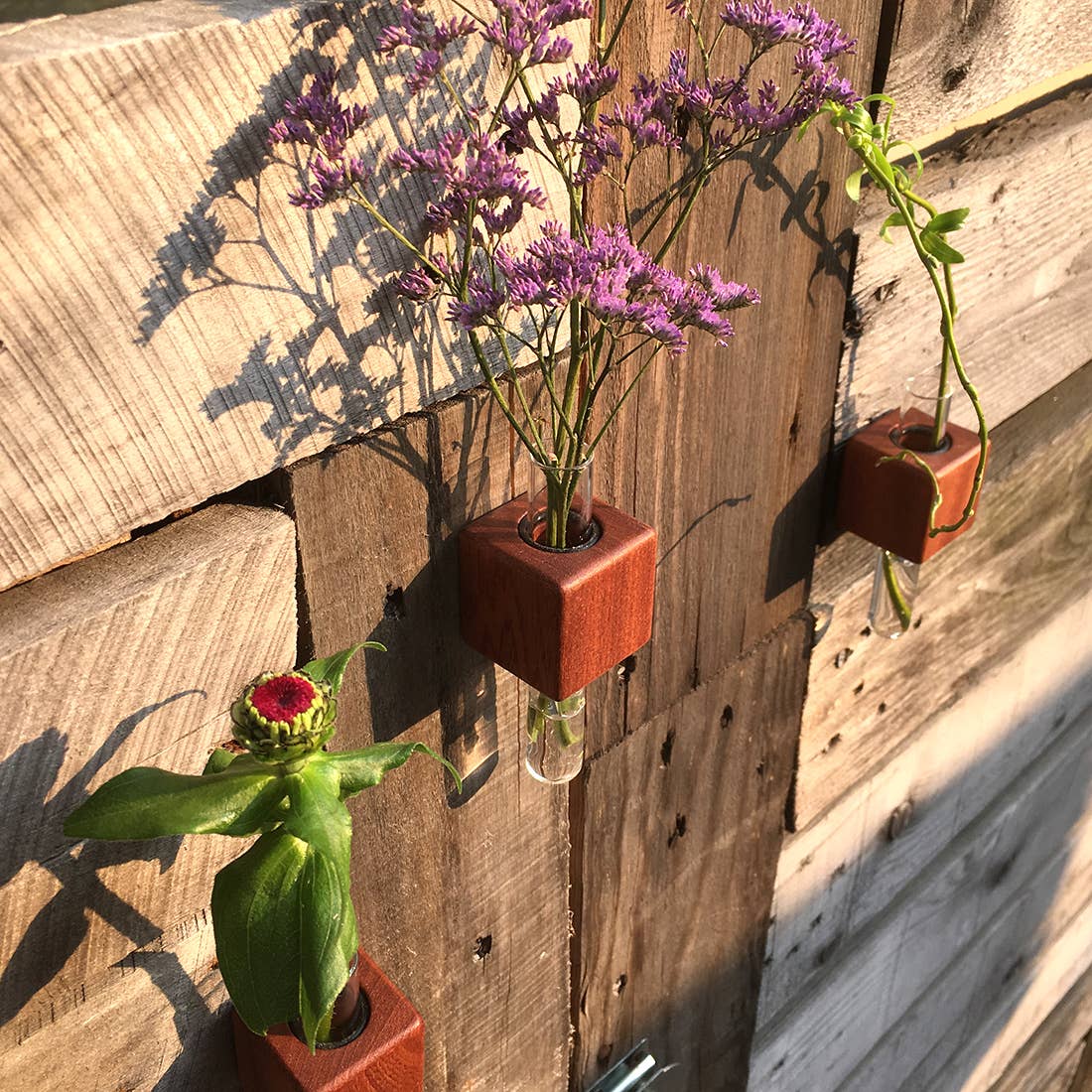 VICE Single Magnetic Cube Propagation Vase by Bumble Plants