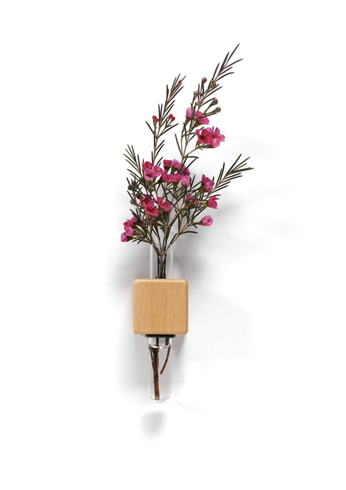 VICE Single Magnetic Cube Propagation Vase by Bumble Plants