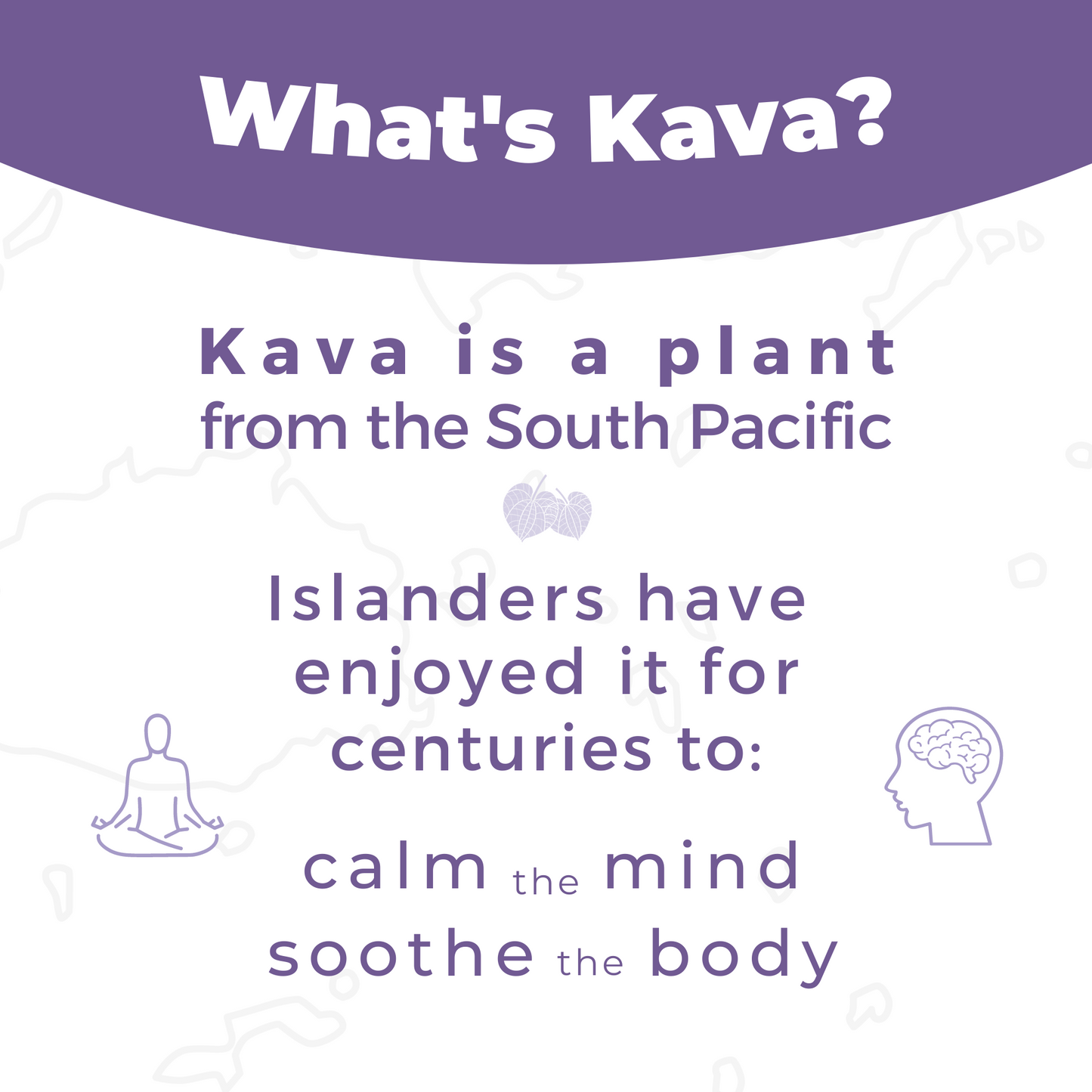 Kava Relax Shot 12 Pack