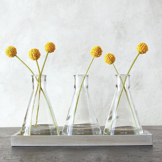Glass Beaker Vase Trio Set | With Wood Tray by The Bullish Store