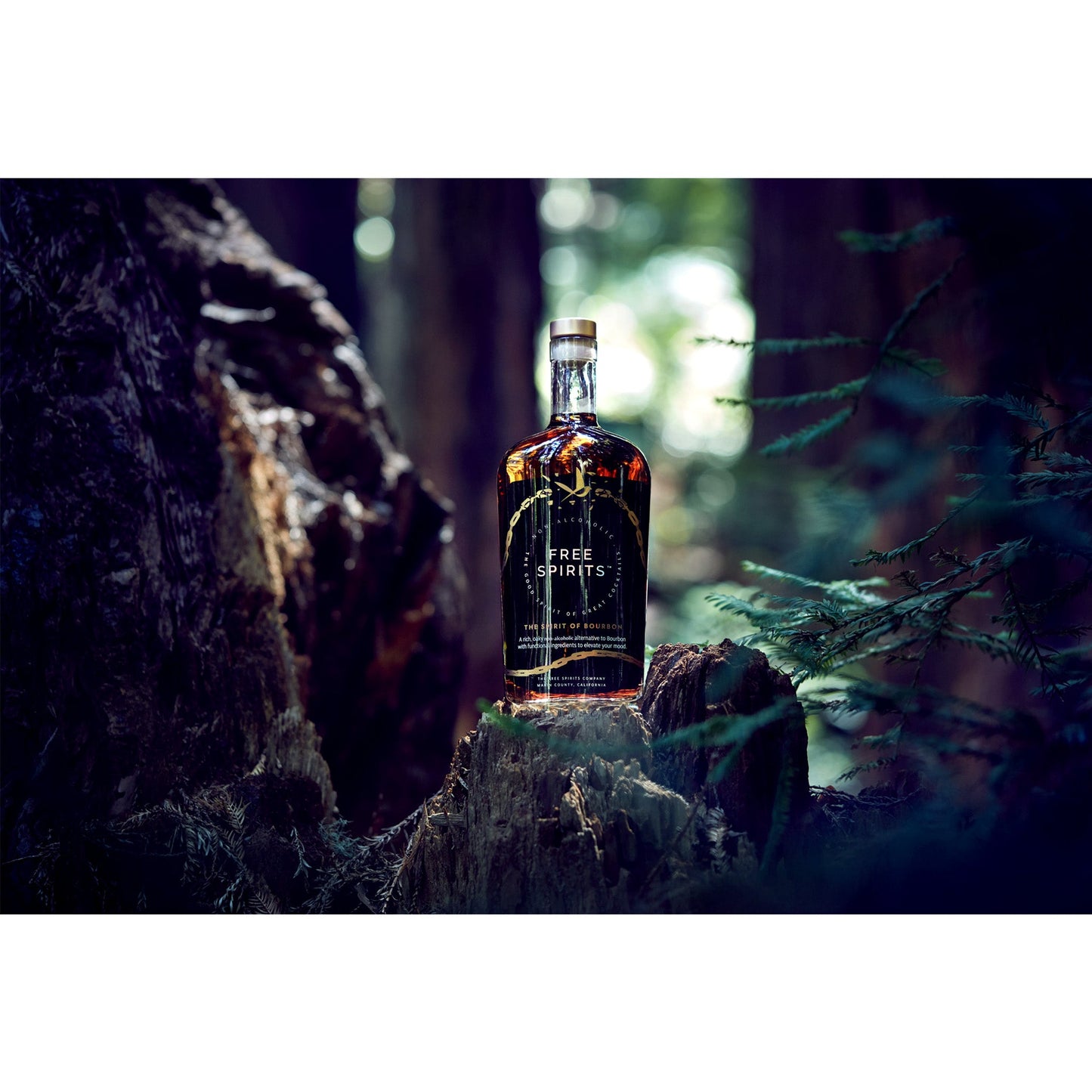 The Spirit of Bourbon by The Free Spirits Company